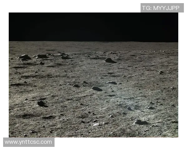 91年公牛队与小牛队的经典对决回顾及其历史意义分析